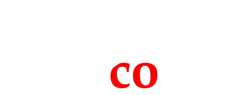 lionco sports logo